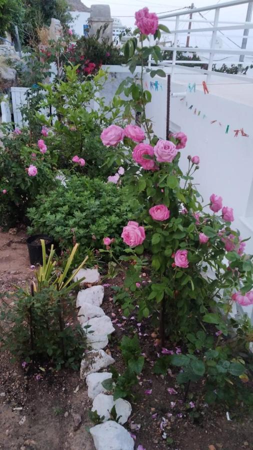 Ornella'S & Laura'S Secret Place Livadia  Luaran gambar